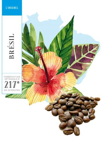 BRESIL - SUL DE MINAS - CAFE GRAIN - 250 G