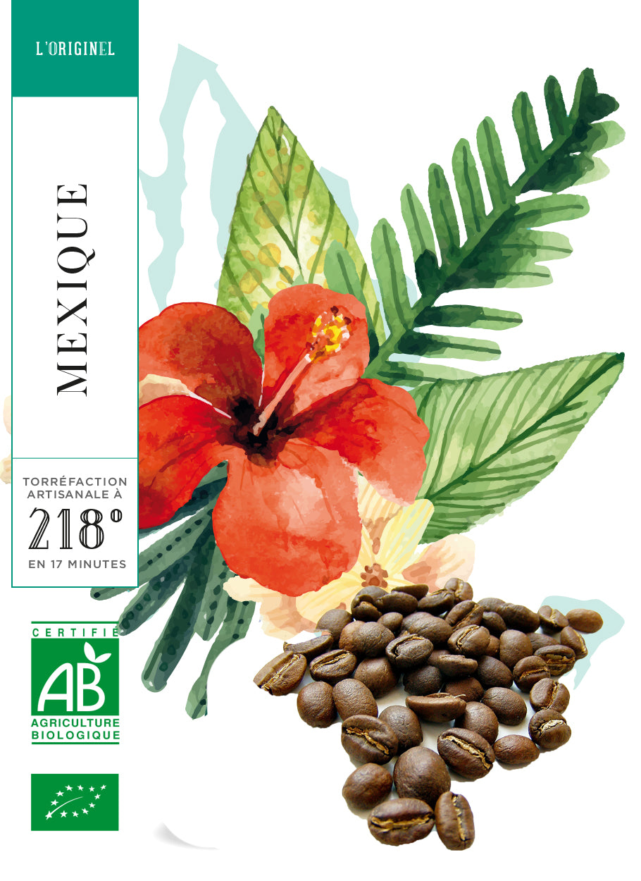 MEXIQUE BIO - CHIAPAS - CAFE GRAIN - 250 G
