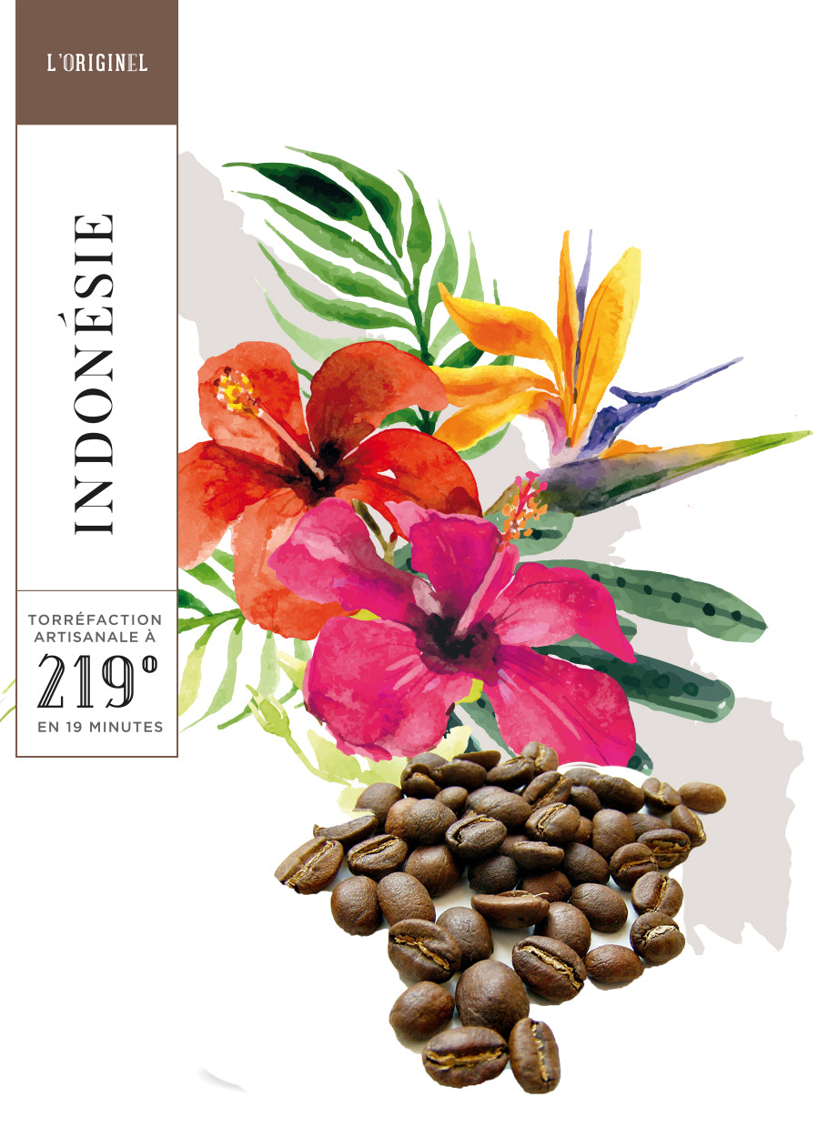 SUMATRA - MANDHELING - CAFE GRAIN - 250 G