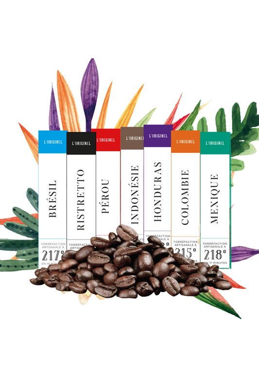 A COFFRET DECOUVERTE CAFES BIO GRANDS CRUS PURES ORIGINES - 10 SACHETS GRAINS 250 G